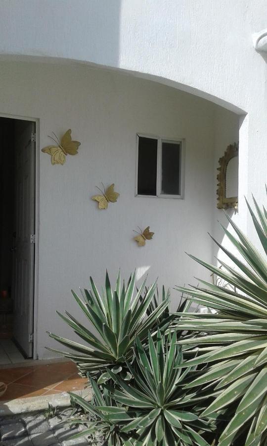 Casa Mariposas Apartment Cancún Exterior foto